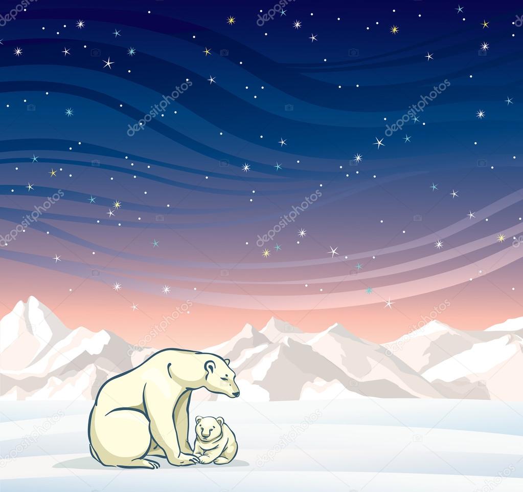 Polar bear with baby and winter landscape at night.