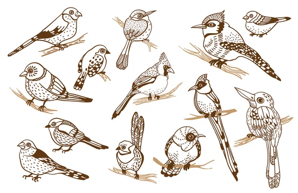 Набор графических птиц . — стоковый вектор