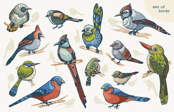 鳥のコレクション. — ストックベクタ