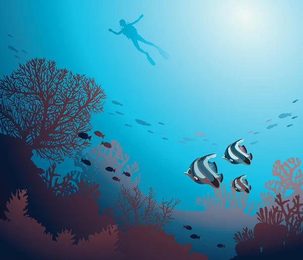 Bajo el agua - arrecife de coral y buzo . — Vector de stock