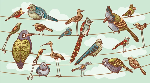 Grappige cartoon vogels. Instellen. — Stockvector