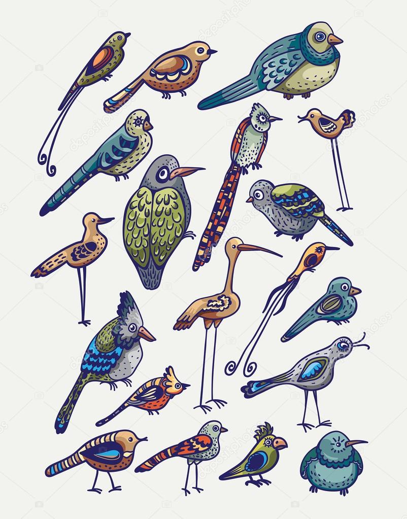 Set of cartoon birds.