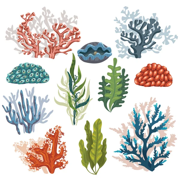 Set of cartoon corals. — Stock Vector