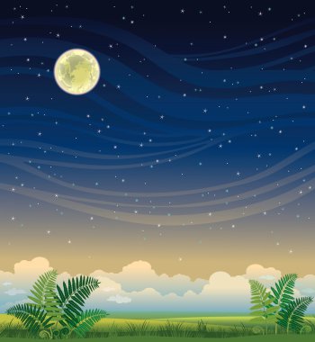 Yaz gece manzarası.