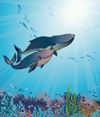 İki balinalar ve mercan kayalığı.