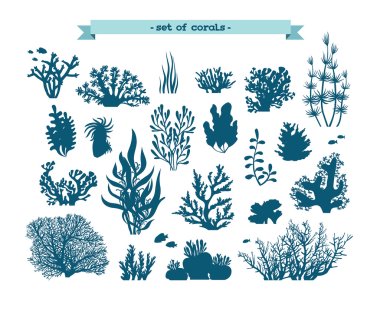 Underwater set of corals and algaes.
