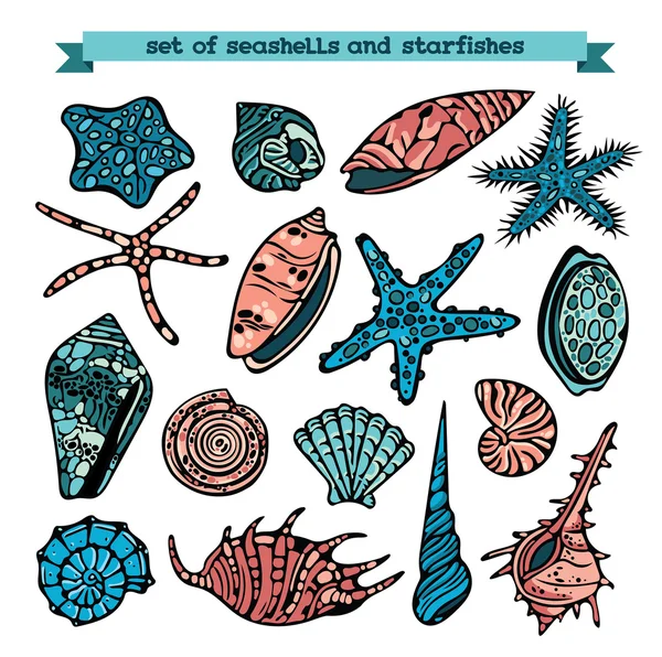 Conjunto de conchas e estrelas-do-mar . — Vetor de Stock