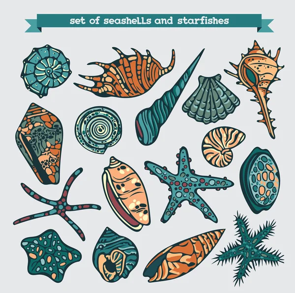 Ensemble de coquillages et d'étoiles de mer . — Image vectorielle