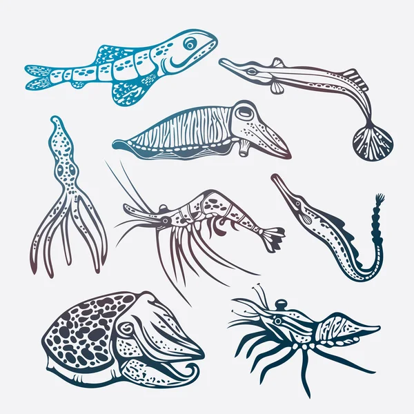 Vector set of underwater creatures. — Stock Vector