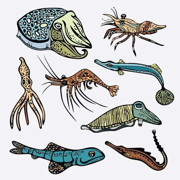 Collection of underwater creatures. — Stock Vector