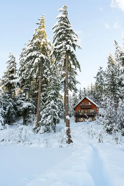 Домик в лесу Зима со снегом — стоковое фото