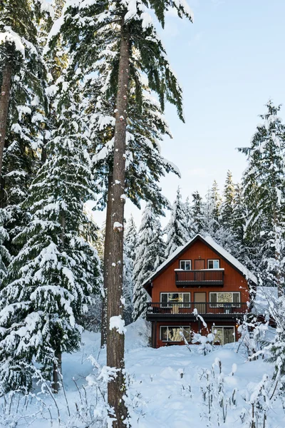 Hütte im Wald Winter mit Schnee — Stockfoto