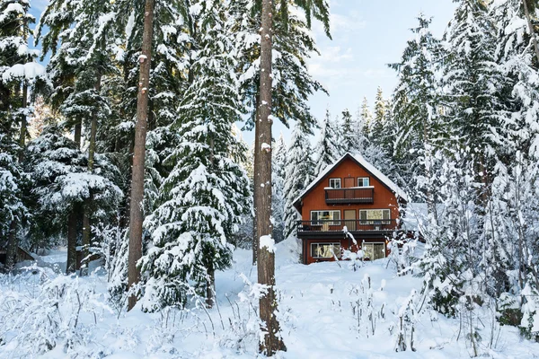 Cabin in Woods Winter with Snow Stock Photo