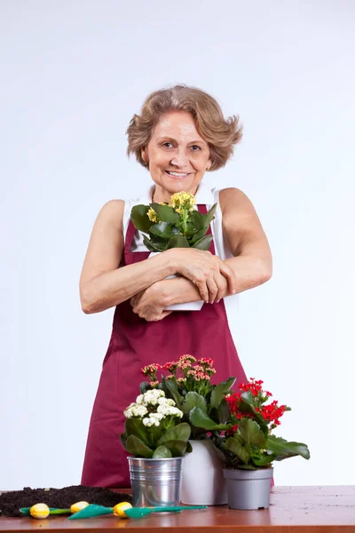 Vacker Äldre Kvinna Som Tar Hand Sina Blommor — Stockfoto