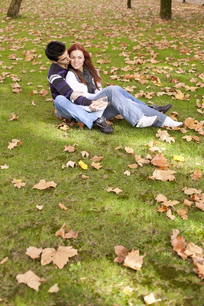 一对年轻夫妇在公园里的爱情与感情 有选择地把焦点放在浅色的Dof上 — 图库照片