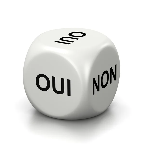 Yes or No French White Dice — Stock Photo, Image