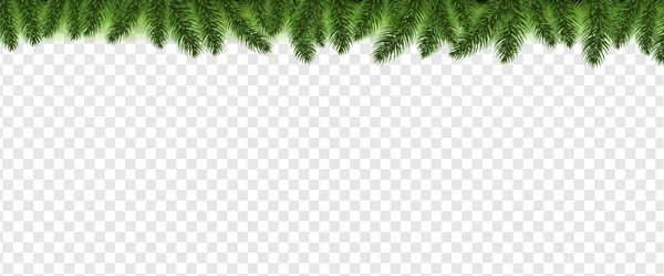 Christmas Fir Tree Border Transparante achtergrond — Stockvector