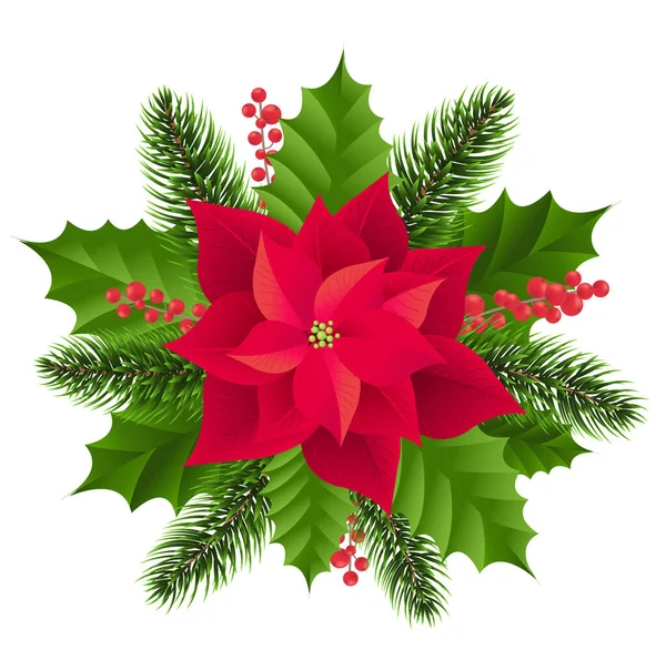 Poinsettia roja aislada con abeto fondo blanco — Vector de stock