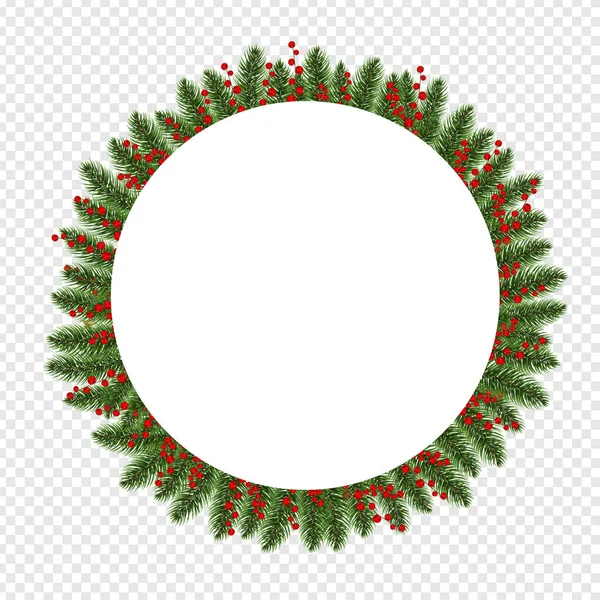 Christmas Fir Tree Banner With Holly Berry Transparent background — стоковий вектор