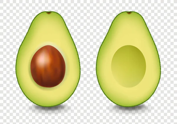 Twee realistische Avocado met transparante achtergrond — Stockvector