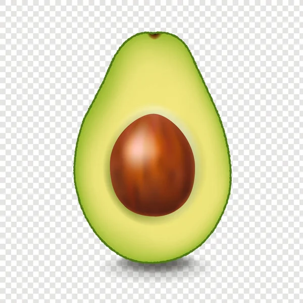 Aguacate realista con fondo blanco — Vector de stock