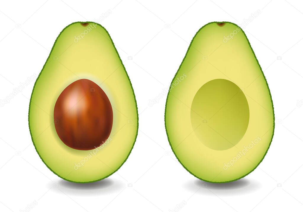 Two Realistic Avocado With White Background With Gradient Mesh, Vector Illustration
