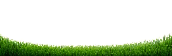 Fronteira de grama verde isolada — Vetor de Stock