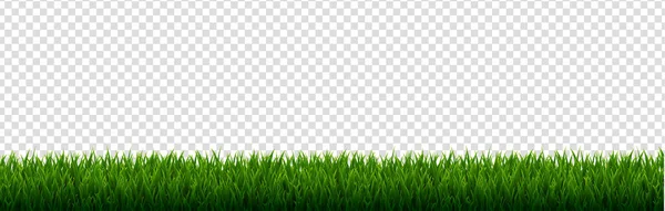 Green Grass Border Transparent Background — Vector de stoc