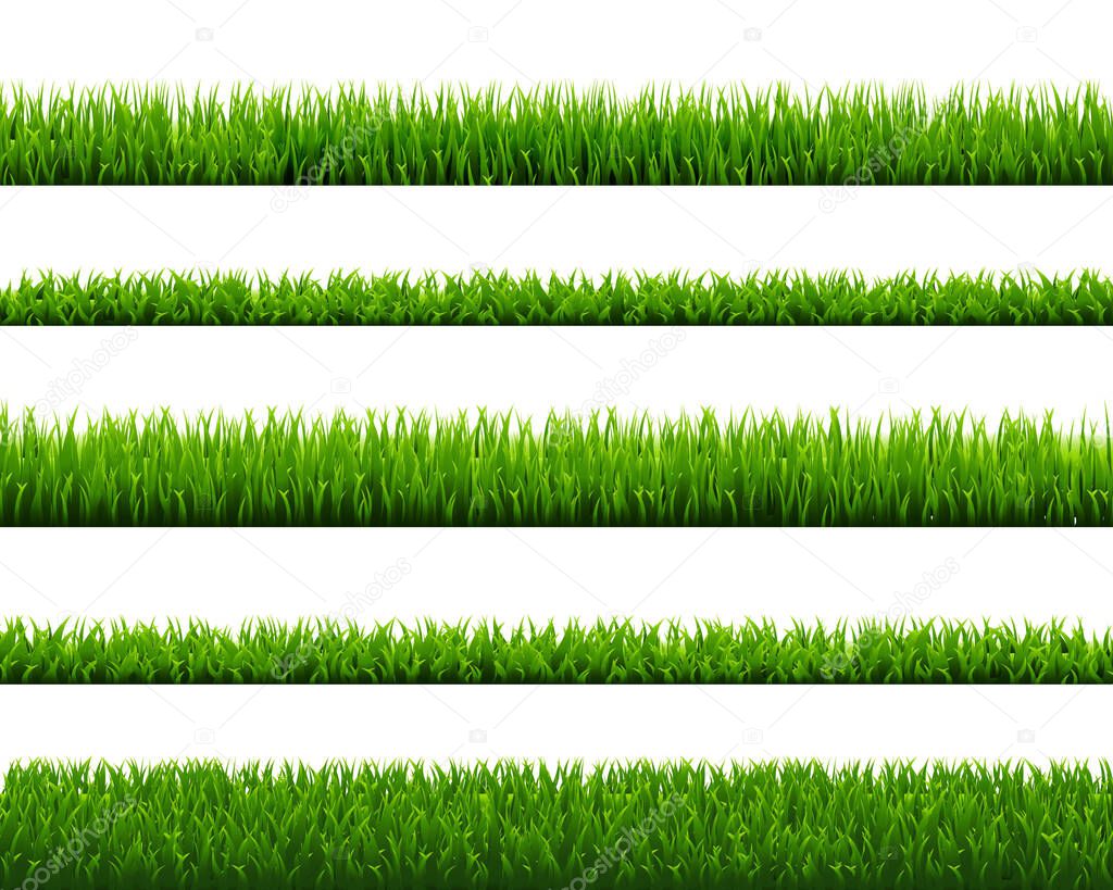 Green Grass Set Isolated White Background