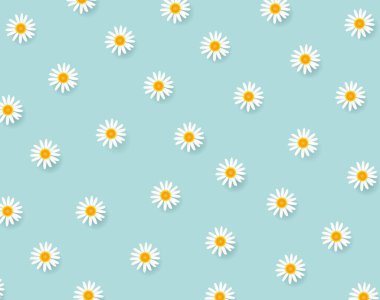 Beyaz Camomiles ile Bahar Arkaplanı