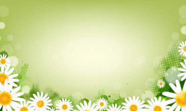 Çiçekli Bahar Bayrağı Beyaz Papatyalar