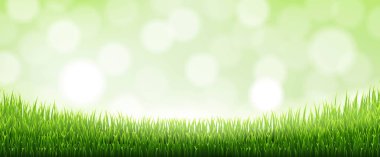 Bokeh ve Bulanık Yeşil Çimen Sınırı