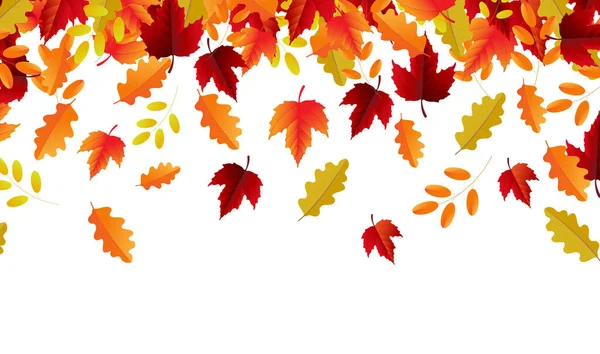 Autumn Border And Leaves And Orange Background — 스톡 벡터