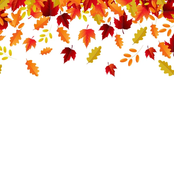 Frontera de otoño y hojas de otoño — Vector de stock