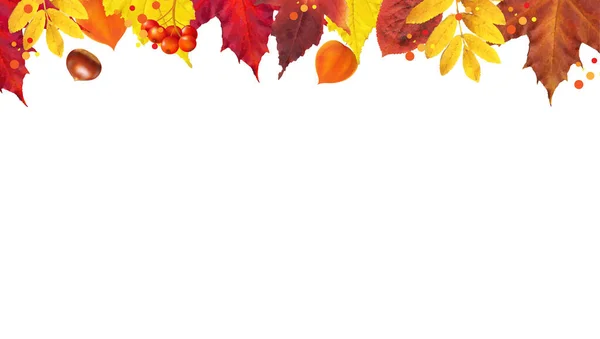 Autumn Poster With Borders And Leaves — Vettoriale Stock