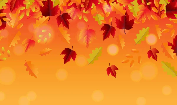 Φθινόπωρο σύνορα και φύλλα και πορτοκαλί φόντο με Bokeh — Διανυσματικό Αρχείο