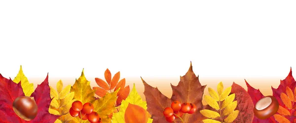 Autumn Border With White Background — Image vectorielle