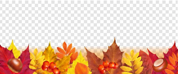 Autumn Border With Transparent Background — Vettoriale Stock