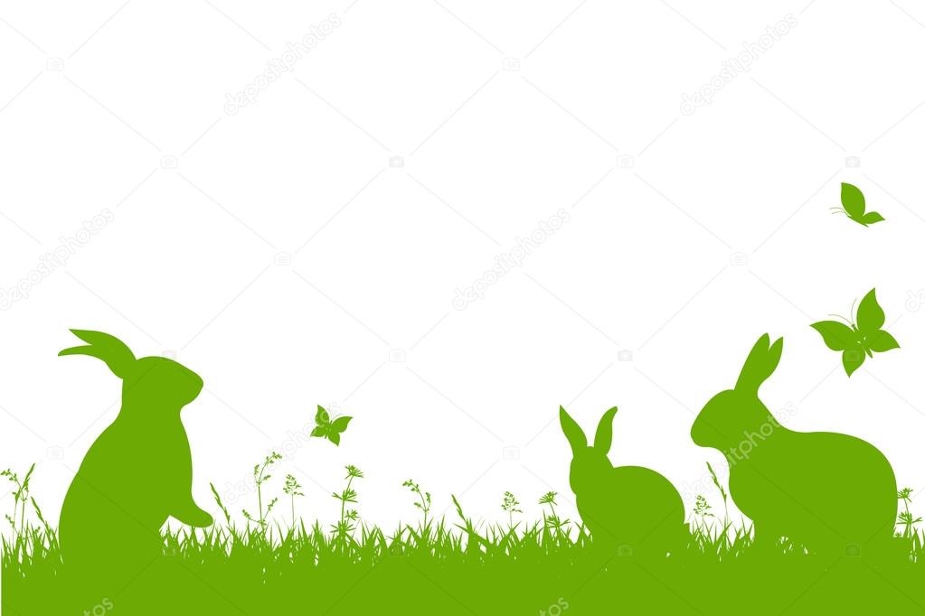 Bunny Border