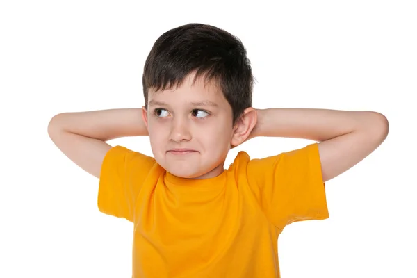 Portrait of a dreaming young boy Stock Photo