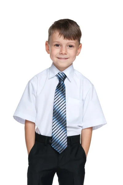 Schoolboy against the white background — Stock Photo, Image