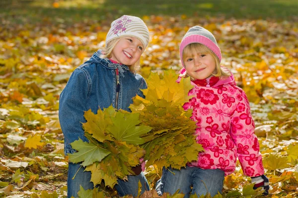 Little girls is sitting on the yellow leaves — Stock Photo, Image