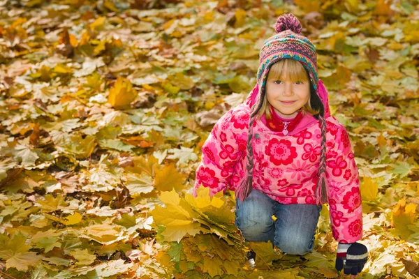 Little girl on the yellow leaves — Stock Photo, Image