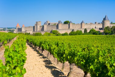 Carcassone içinde güneşli yaz günde alıntı