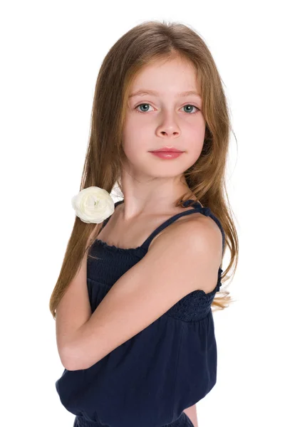 Lovely little girl — Stock Photo, Image