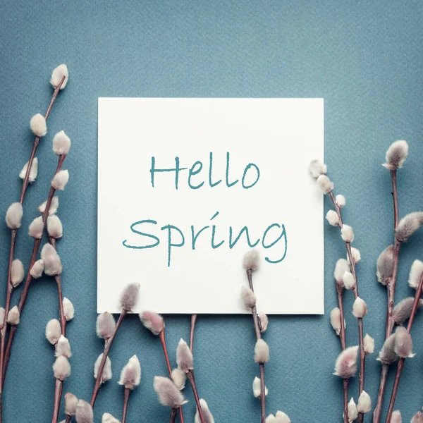 Pussy Willow Branches Card Inscription Hello Spring Concept Springtime — Stock Photo, Image