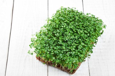 Keten bir hasırın üzerinde büyüyen mikro yeşil brokoli.