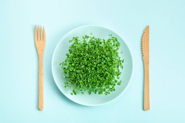 Tabakta küçük bir porsiyon mikroyeşil. Diyet ve kilo kaybı kavramı.