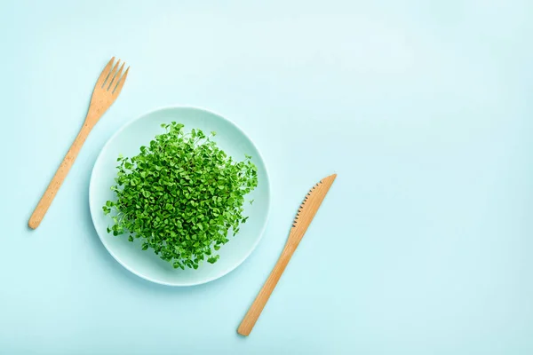 盘子里的小部分微绿色 饮食和减肥的概念 — 图库照片