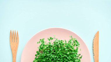 Tabakta küçük bir porsiyon mikroyeşil. Diyet ve kilo kaybı kavramı.